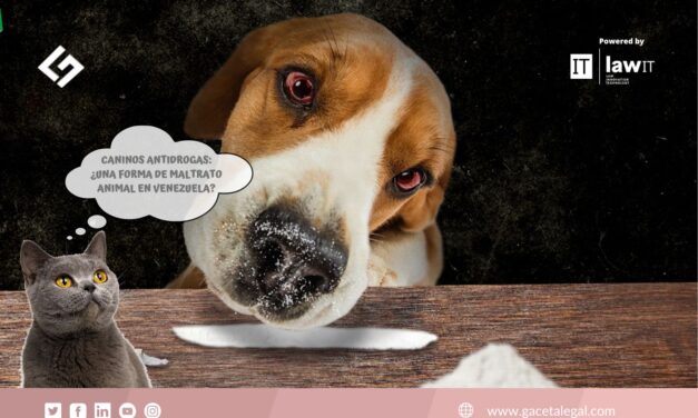 Caninos Antidrogas: ¿Una forma de maltrato animal en Venezuela?