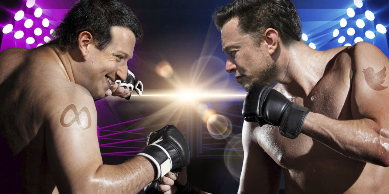 Twitter vs Meta ¿quién ganará la batalla de las redes?